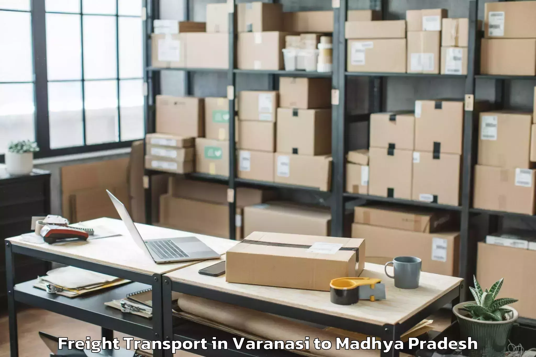 Get Varanasi to Parasia Freight Transport